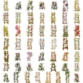 Detailed grid of 50 vintage floral ladder PET stickers with realistic flowers - Flower Ladder PET Sticker Pack