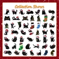 Sammlung von 49 süßen Weihnachts-Schwarzkatzen-Aufklebern mit festlicher Dekoration - Schwarze Katze Serie (50 Blatt/Packung)