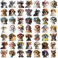 Matriz de 49 divertidas pegatinas de mascotas con gatos y perros con gafas de sol - Negro Multicolor Natural