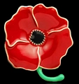 Red enamel poppy flower brooch with golden stem and black center for women - AL009-B Large Enamel Red