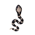 Broche serpent en émail noir avec bordure dorée et incrustation de strass en étoile - Noir (B279-C)