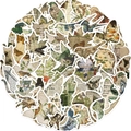 50-teiliges Vintage-Aufkleber-Set mit Vögeln, Schmetterlingen und floralen Motiven - Vintage Flora Und Fauna