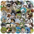 50pcs creative animal stickers with motivational quotes for luggage and planners - Animal Motivational Series Stickers