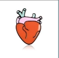 Creative anatomical red heart enamel pin badge with colorful vascular details - Heart Style (XZ213)