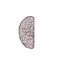 Pink enamel half-brain shaped zinc alloy brooch pin with black cortex outlines - Pink Half-Brain Design (XZ2133)