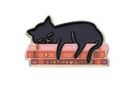 Cute enamel brooch featuring a black cat sleeping on books with Stay Pawsitive text - Stay Pawsitive Cat Books (xz8008)