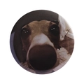 Round tinplate badge featuring a minimalist close-up photo of a funny Greyhound face - Funny Long Nose Dog Meme (MXZ421)