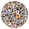 83 pegatinas de animales impermeables con diseños realistas para portátiles y botellas - Set Multicolor de Animales Antropomórficos / 83 Piezas/Paquete