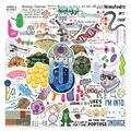Set de 50 pegatinas de biología impermeables con ADN, microscopio y juegos de palabras - Pegatinas de Biología Set 1 (UU075)