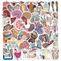50er Set Anatomie Sticker mit bunten menschlichen Organen für Medizinstudenten Deko - Menschliche Anatomische Organserie