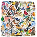 Vista detallada de 50 pegatinas de pájaros en acuarela para álbumes de recortes y decoración - Estilo Antiguo Más Vendido de Aves en Acuarela (GT055)