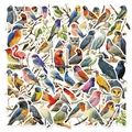 Vista detallada de pegatinas de aves en acuarela con varias especies y texturas hechas a mano - Nuevo Estilo Potencial de Aves en Acuarela (YCK125)