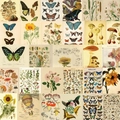 Lot d'autocollants nature vintage avec papillons et fleurs pour scrapbooking et DIY - Illustration Vintage (TT143)