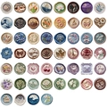 52 pieces of vintage 3D embossed wax seal stamps featuring flowers, animals, and landscapes - Painted Winter (SLP231)