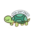 Cute green enamel turtle brooch featuring white 'I'M NOT FAST' speech bubble design - I'm Not Fast Turtle Style (CC1641)