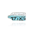 Enamel bottle brooch with blue ocean scene and Plastic Pollutes text for eco awareness - Plastic Bottle Style (CC734)