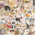 50 Stück wasserfeste Cartoon Katzen Aufkleber für Laptops Gitarren und Koffer Deko - Katzen-Meme
