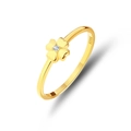 Minimalistischer Goldener Kleeblattring mit S925 Gravur und zentralem Zirkonia-Stein - US 6 / Gold