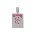 Detailopname van hiphop vierkante hanger met rode Cash Money letters en dollarteken - Zilver Rood Emaille Alleen Hanger