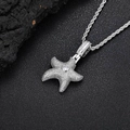 Collana con ciondolo a stella in argento e zirconi su sfondo di roccia scura - Catena a Corda (Platino+24inch*3mm Catena a Corda) / Oro Bianco