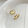 Elegant S925 sterling silver snake-shaped earrings with micro-inlaid zircon and gold finish - 925 Silver / Gold