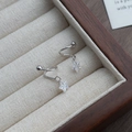 Orecchini a stella in argento S925 con zirconi e chiusura a vite in portagioie - Argento 925 / Oro Bianco