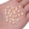 Dettaglio di perline a forma di fiore con design a uovo per gioielli fai da te - 6mm Doppio Lato