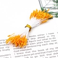 Stami di fiori artificiali arancioni a doppia testa per accessori per capelli fai-da-te - Nucleo del Fiore Perlaceo in Gesso (1mm/Lunghezza 60mm/90 Pezzi Confezione)