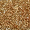 Champagne gold bugle beads for handmade jewelry and sewing decorations in bulk - 2x6mm, Aperture Approx 0.8mm, 10g/Pack (Approx 300 Pcs) / Gold