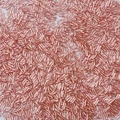 Rose gold spiral glass bugle beads for handmade DIY jewelry and clothing embroidery - 2x6mm (10g/Pack) / Pink