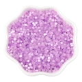Lilac purple frosted glass cylinder beads in a petal-shaped ceramic dish for DIY jewelry - 2.5mm Hole 1mm 10g/pack Approx 740pcs / Plum Purple
