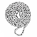 Detailed close-up of a silver-colored twisted rope chain with a lobster clasp closure - 20 inch / Rope Chain Necklace / Silver