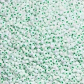 Bleke muntgroene rocailles met parelglans voor DIY sieraden maken en knutselen - Groen