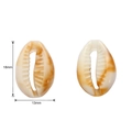 Oval shell pendant charm in beige and brown for DIY jewelry making 18x13mm - Shell 1