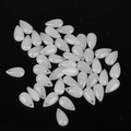 Polished white teardrop glass beads with pre-drilled holes for DIY jewelry making - 5-Pack / White Jade