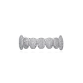Close-up of iced out silver hip hop grillz with shimmering cubic zirconia inlay details - Silver Lower Tooth
