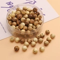 DIY 8mm round wood beads with tiger stripes and natural textures in a clear storage box - Milkwood
