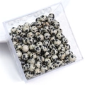 Polished natural Dalmatian Jasper loose beads in a clear box for DIY jewelry making - 10Pcs/Pack / Dalmatian Jasper 6mm