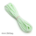 Luminous 4mm mint green nylon paracord 7-strand rope for DIY jewelry making 2M - Approx 4mm 2M/bag / Green and White