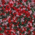 Weihnachtliche Mischung aus roten und grünen Glasperlen für DIY Armband Schmuckherstellung - Glänzende transparente Saatperlen (6128012907426)
