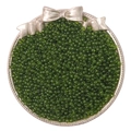 Perles de rocaille en verre vert olive transparent dans un plateau pour bijoux - Vert Herbe