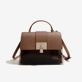 Brown PU leather and transparent splicing crossbody bag with silver twist lock and handle - Gold