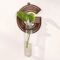 Letter G wall mounted dark wood shelf with clear glass hydroponic plant test tube - Letter G Style (ms8504)