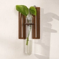 Wall-mounted dark brown wood fence plant holder with a clear glass test tube vase - Letter H Style (ms8505)