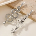 Detailed macro view of silver snake and 'Not yours' letter hair clips on a stone surface - Antique Silver Combination (E6401)