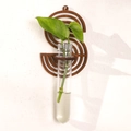 S-shaped dark wood wall-mounted hydroponic vase with a clear glass test tube for green plants - Letter S Style (ms8516)