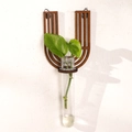 U-shaped dark brown wood wall planter with clear glass tube for hydroponic plants - Letter U Style (ms8518)