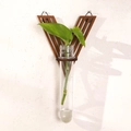Modern V-shaped dark brown wood wall planter with a glass tube for hydroponic plants - Letter V Style (ms8519)