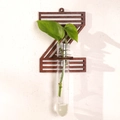 Letter Z shaped dark wood wall planter with glass tube for hydroponic plants - Letter Z Style (ms8523)