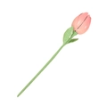 Elegante bastoncino per capelli a tulipano con fiore rosa e foglie verdi per chignon - Tulipano (B2311)